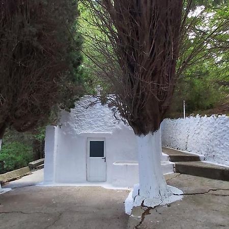 Traditional House In Asfendiou Agios Dimitrios  외부 사진