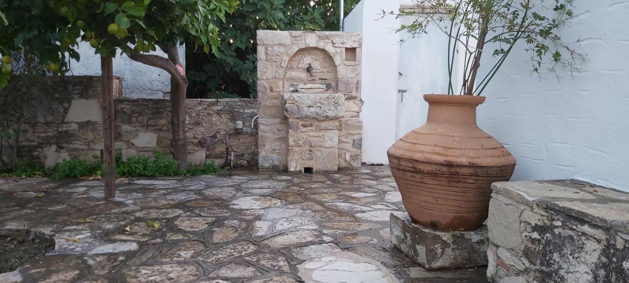 Traditional House In Asfendiou Agios Dimitrios  외부 사진