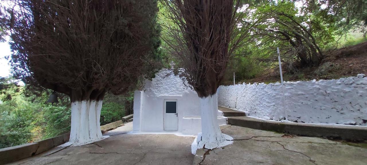 Traditional House In Asfendiou Agios Dimitrios  외부 사진