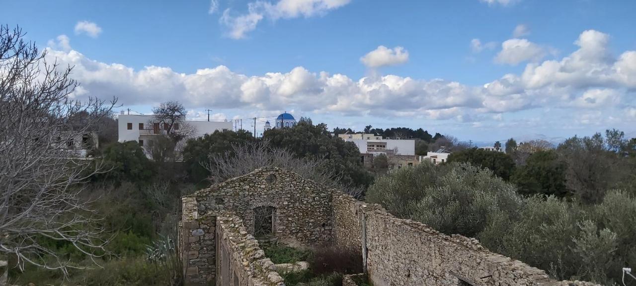 Traditional House In Asfendiou Agios Dimitrios  외부 사진