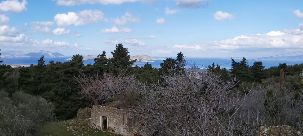 Traditional House In Asfendiou Agios Dimitrios  외부 사진